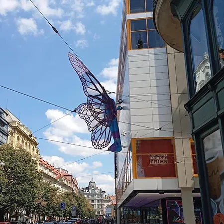 Centrum House Feriehus *